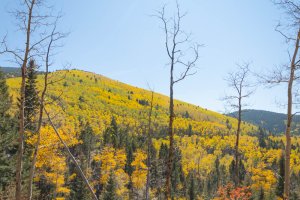 20201020FallColors2020185.jpg